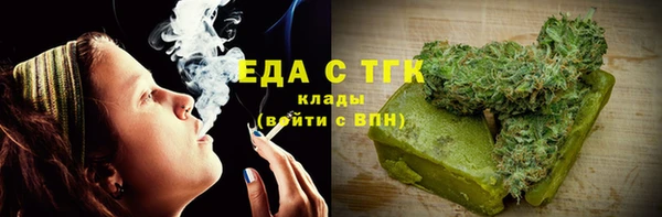 индика Балахна