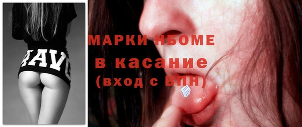 индика Балахна