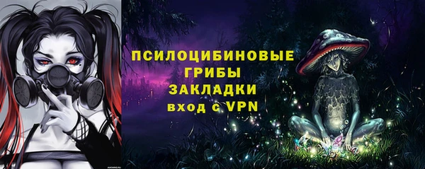 индика Балахна