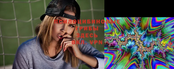 дживик Баксан