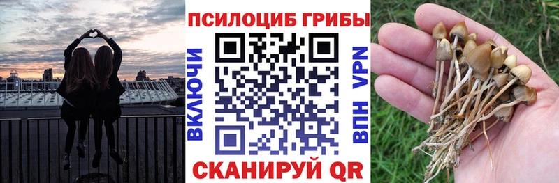 Галлюциногенные грибы ЛСД  где купить   Кубинка 